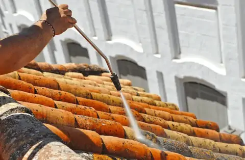 Nettoyage de toitures - Loiret